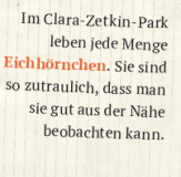 zettel_eichhoernchen