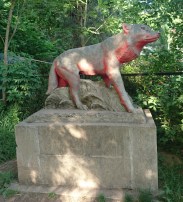 Wolf1