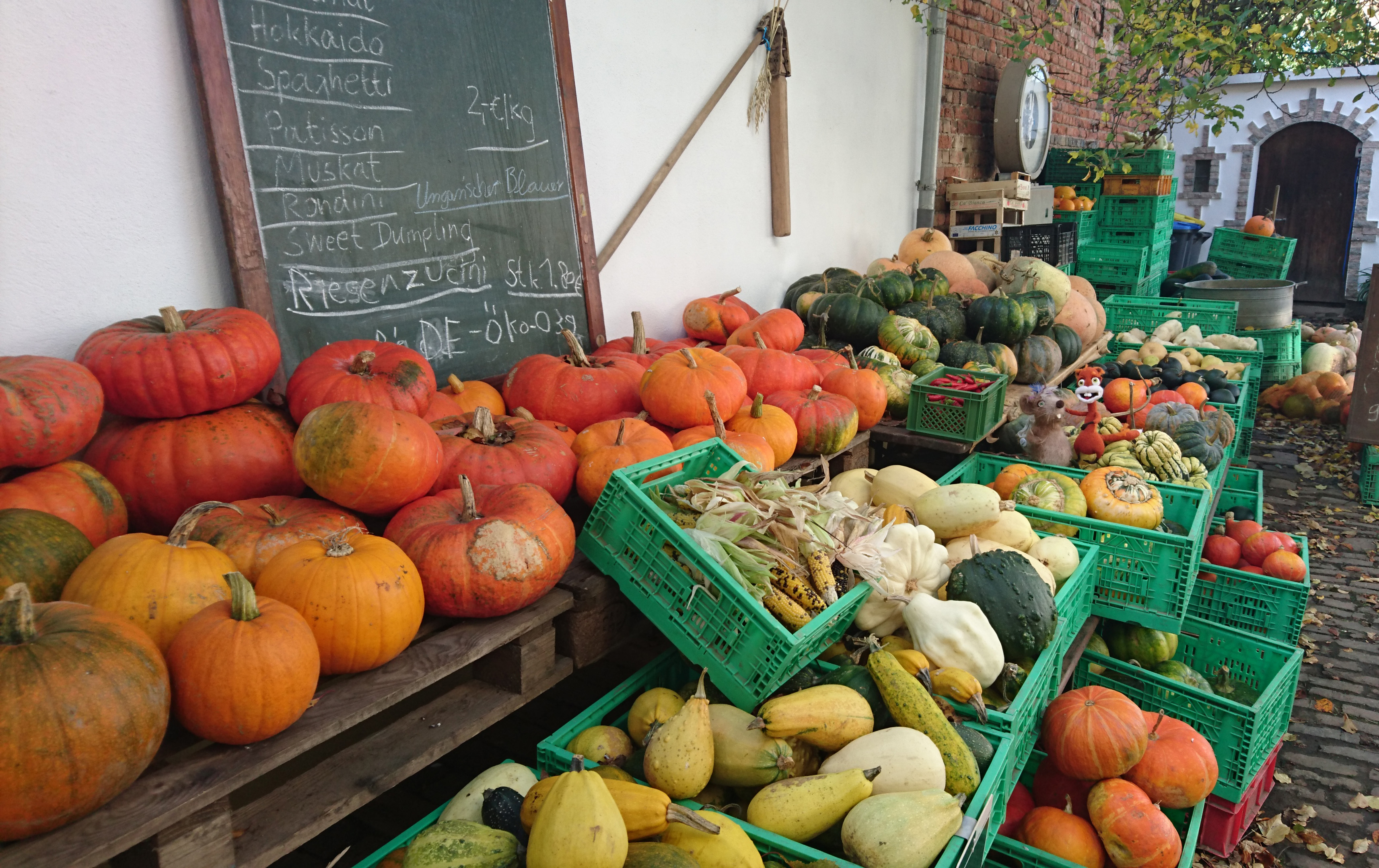 Pinselflitzer_Kuerbisparadies3